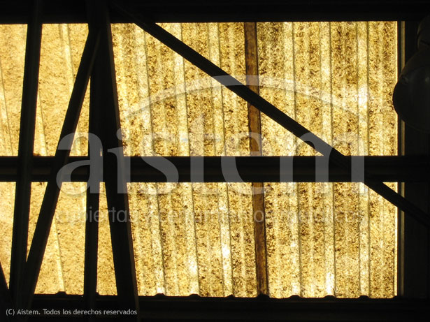 Tecnocar - Gandia (1)